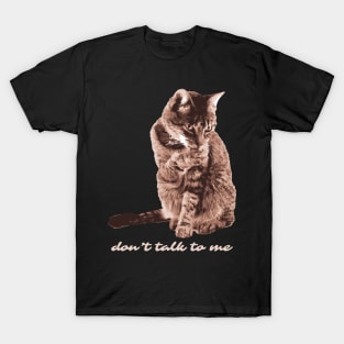 Don't Talk To Me Cats - Cat Lover T-Shirt